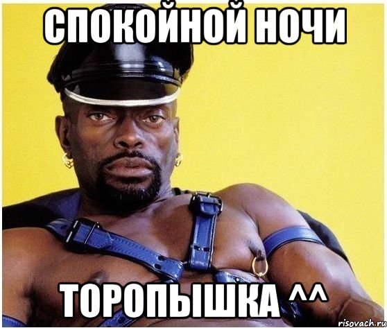спокойной ночи торопышка ^^, Мем Черный властелин