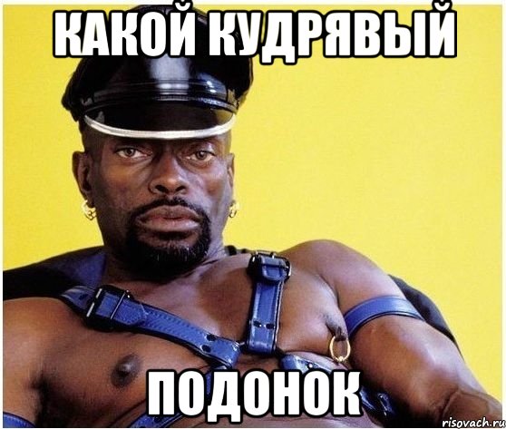 Какой кудрявый подонок, Мем Черный властелин