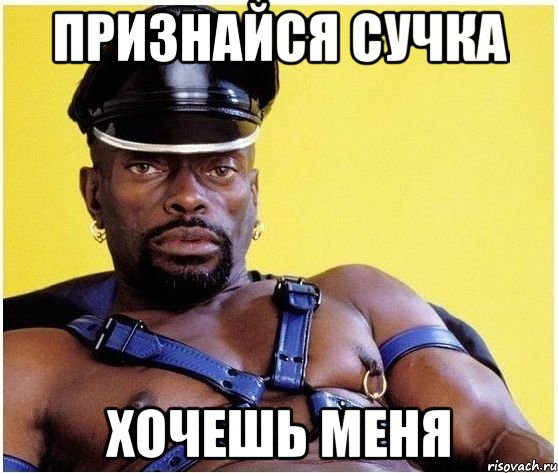 признайся сучка хочешь меня, Мем Черный властелин