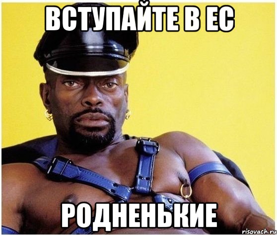 Вступайте в ЕС родненькие, Мем Черный властелин