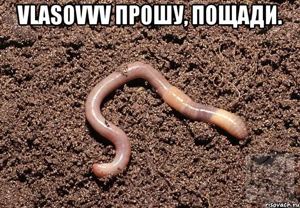 VlasovVV Прошу, пощади. 