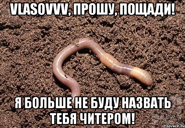 VlasovVV, Прошу, пощади! я больше не буду назвать тебя Читером!