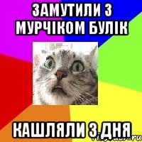 замутили з мурчіком булік кашляли 3 дня