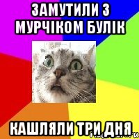 замутили з мурчіком булік кашляли три дня