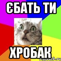 єбать ти хробак