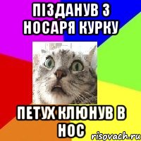 пізданув з носаря курку петух клюнув в нос