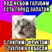 под нєбом галубим єсть город залатой с гнилимі фруктамі і тухлой ковбасой