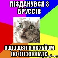 пізданувся з бруссів ощющєнія як хуйом по стєкловатє