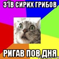 з'їв сирих грибов ригав пов дня