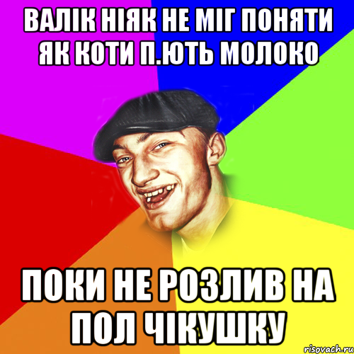 валік ніяк не міг поняти як коти п.ють молоко поки не розлив на пол чікушку, Мем Чоткий Едик