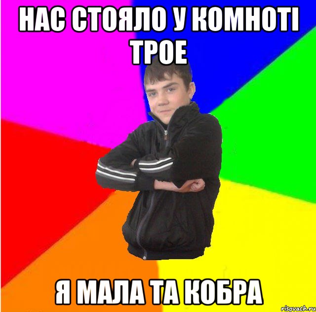 Нас стояло у комнотi трое я мала та кобра