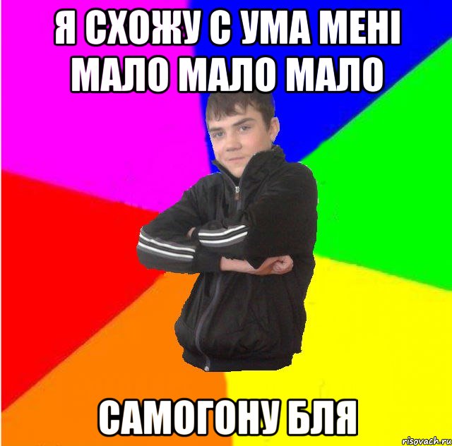 я схожу с ума менi мало мало мало самогону бля