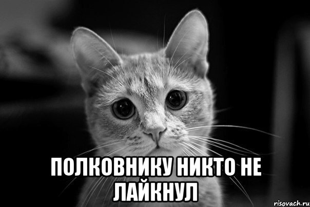  полковнику никто не лайкнул