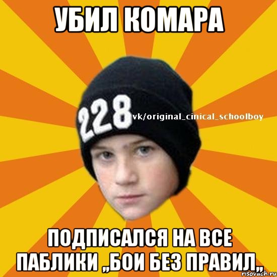 Убил комара Подписался на все паблики ,,Бои без правил,,, Мем  Циничный школьник