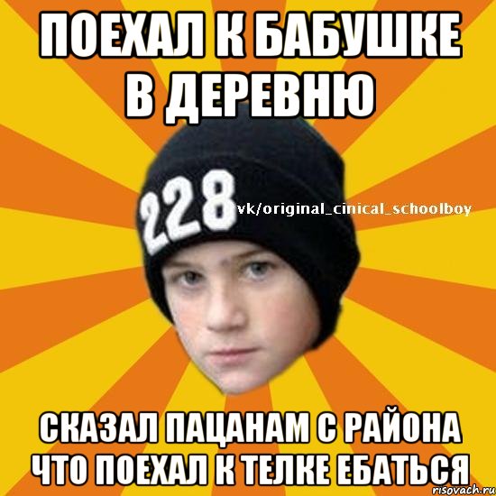 Поехал к бабушке в деревню сказал пацанам с района что поехал к телке ебаться, Мем  Циничный школьник