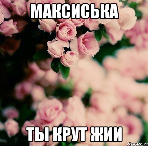 Максиська ты крут жии