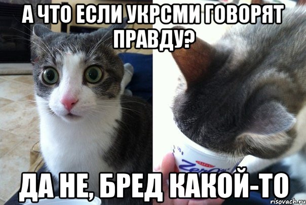 А что если УкрСМИ говорят правду? да не, бред какой-то, Комикс  Да не бред-какой-то (2 зоны)