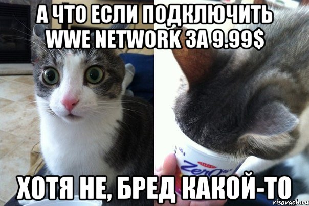 А что если подключить WWE Network за 9.99$ хотя не, бред какой-то