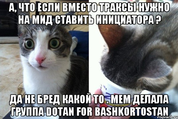 А, что если вместо Траксы нужно на мид ставить инициатора ? Да не бред какой то . мем делала группа Dotan for Bashkortostan