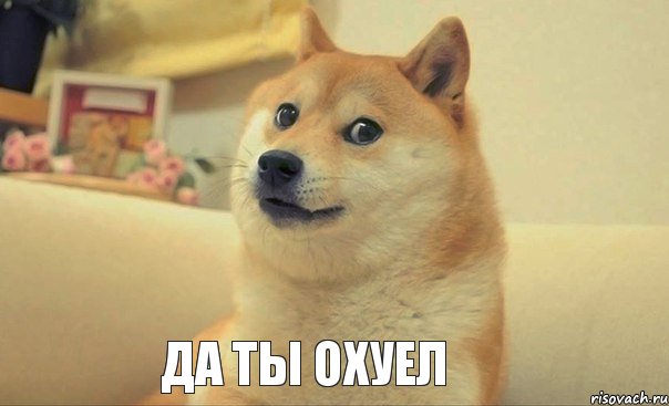 Да ты охуел, Мем DOGE