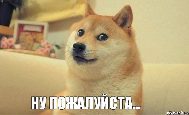 Ну пожалуйста..., Мем DOGE