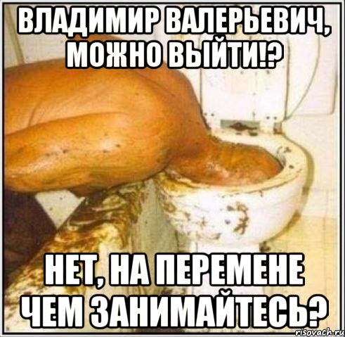 Владимир Валерьевич, можно выйти!? Нет, на перемене чем занимайтесь?, Мем Дайвер