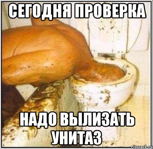 Сегодня проверка надо вылизать унитаз, Мем Дайвер