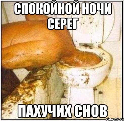 Спокойной ночи серег пахучих снов, Мем Дайвер