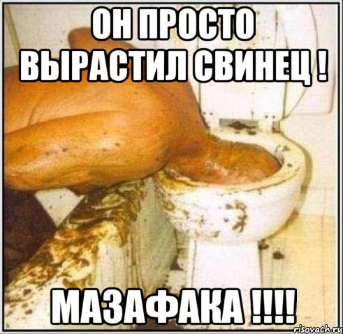 Он просто вырастил свинец ! Мазафака !!!!, Мем Дайвер