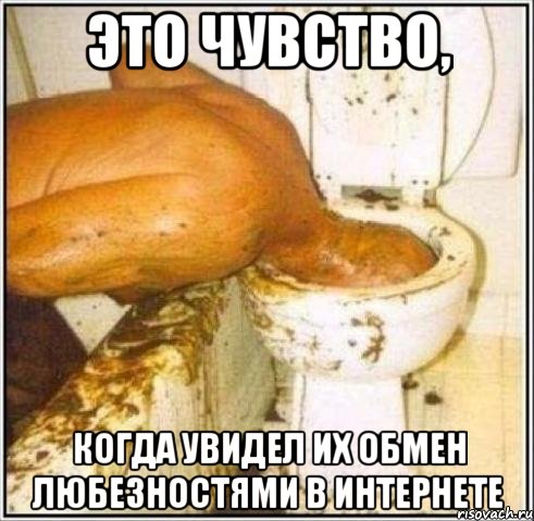 ЭТО ЧУВСТВО, КОГДА УВИДЕЛ ИХ ОБМЕН ЛЮБЕЗНОСТЯМИ В ИНТЕРНЕТЕ, Мем Дайвер