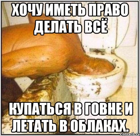Хочу иметь право делать всё купаться в говне и летать в облаках., Мем Дайвер