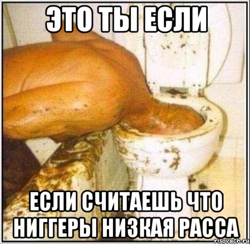 Это ты если если считаешь что Ниггеры низкая расса, Мем Дайвер