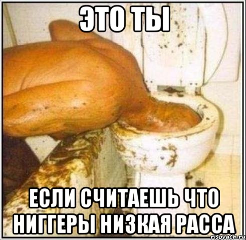 Это ты если считаешь что Ниггеры низкая расса, Мем Дайвер