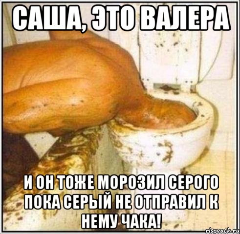 САША, ЭТО ВАЛЕРА И ОН ТОЖЕ МОРОЗИЛ СЕРОГО ПОКА СЕРЫЙ НЕ ОТПРАВИЛ К НЕМУ ЧАКА!, Мем Дайвер