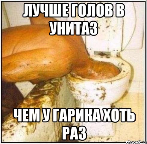 Лучше голов в унитаз Чем у гарика хоть раз, Мем Дайвер
