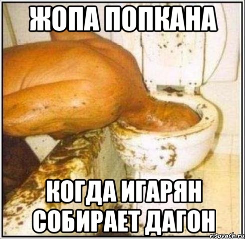 Жопа попкана когда игарян собирает дагон, Мем Дайвер