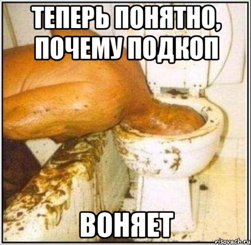теперь понятно, почему подкоп воняет, Мем Дайвер