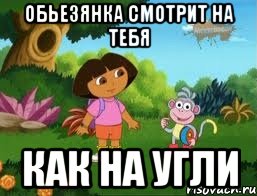 Обьезянка смотрит на тебя как на угли