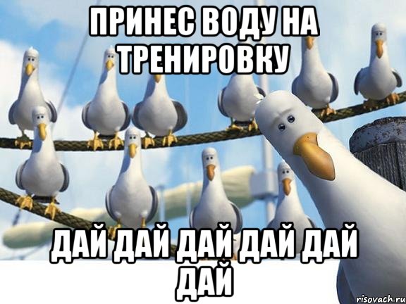 принес воду на тренировку дай дай дай дай дай дай
