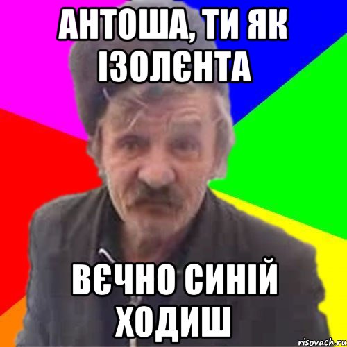 Антоша, ти як ізолєнта вєчно синій ходиш