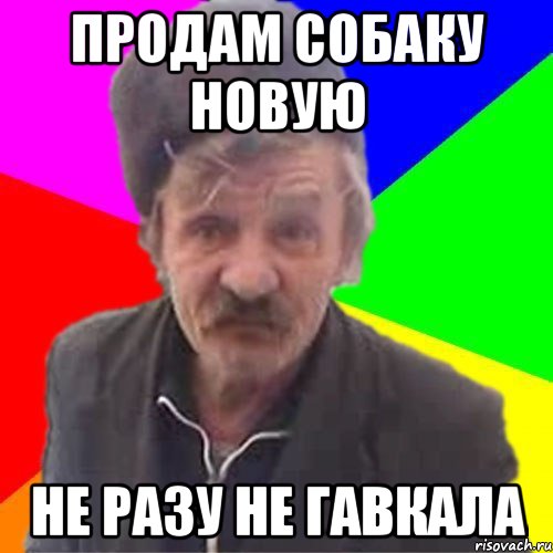 Продам собаку НОВУЮ не разу не гавкала