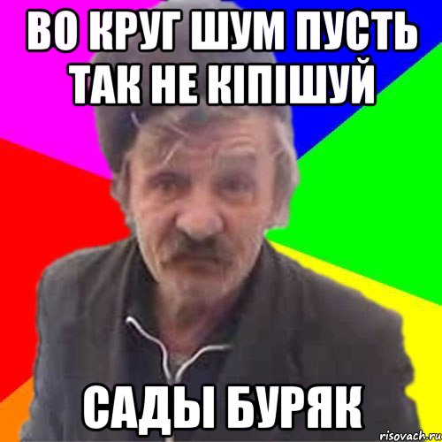 Во круг шум пусть так не кіпішуй САДЫ БУРЯК