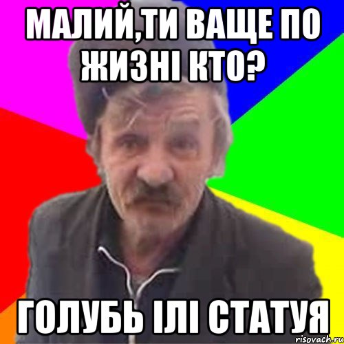 малий,ти ваще по жизні кто? Голубь ілі статуя
