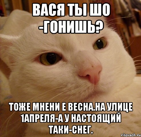 Вася ты шо -гонишь? Тоже мнени е весна.на улице 1апреля-а у настоящий таки-снег.