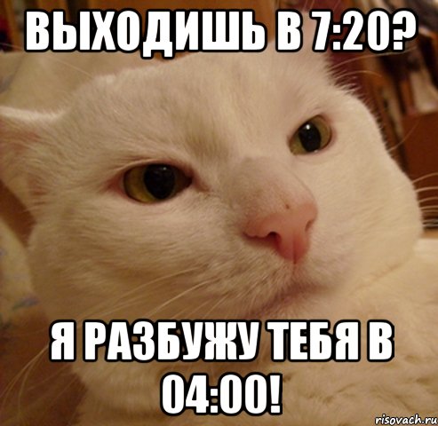 Выходишь в 7:20? Я разбужу тебя в 04:00!