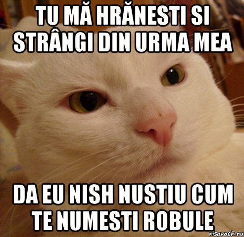 Tu mă hrănesti si strângi din urma mea da eu nish nustiu cum te numesti robule
