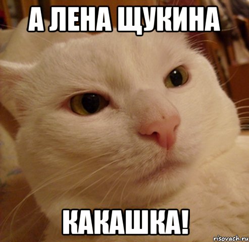 А лена щукина Какашка!