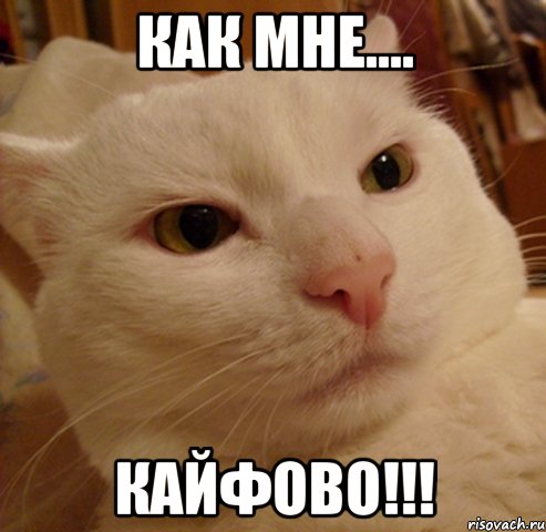 Как мне.... КАЙФОВО!!!