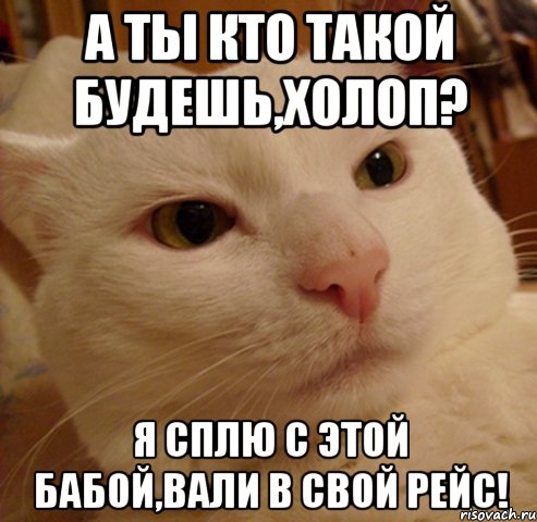 А ты кто такой будешь,холоп? Я сплю с этой бабой,вали в свой рейс!