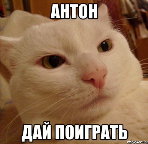 антон дай поиграть